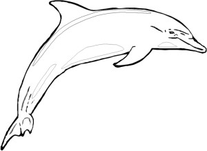 delfines para colorear