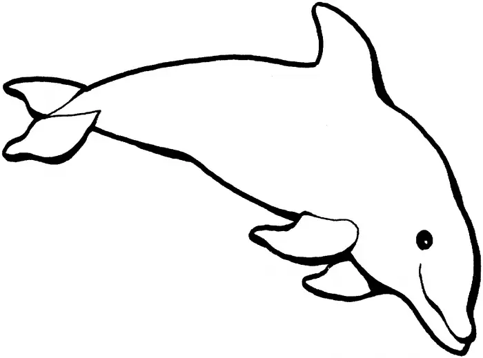 delfines para dibujar