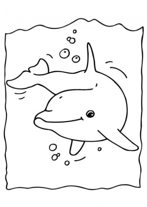 dibujo de delfines para colorear