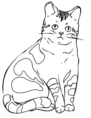 dibujo de gatito para colorear