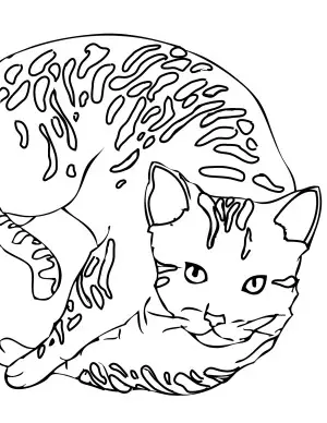 dibujo de un gato para colorear