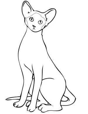dibujo para pintar de gatos