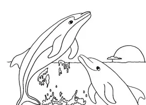 dibujos delfines para colorear