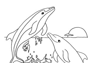 dibujos delfines para colorear