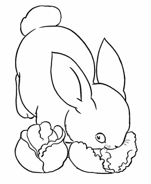 dibujos para colorear conejos