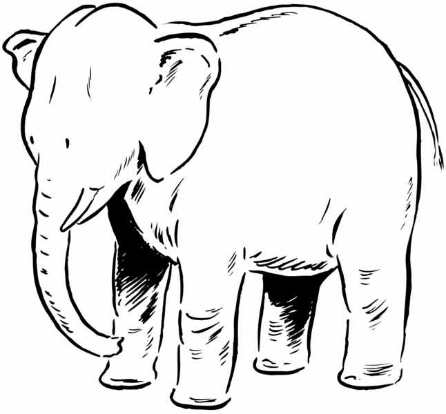 dibujos para colorear de elefante