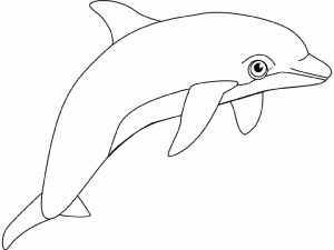 dibujos para colorear delfines