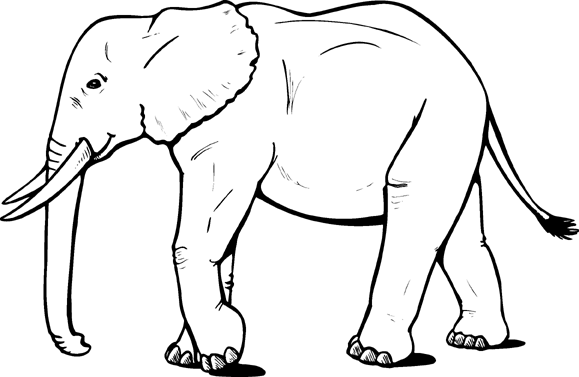 dibujos para colorear elefante
