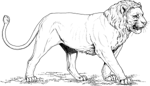dibujos para colorear rey leon