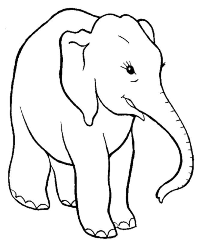 elefante para colorear