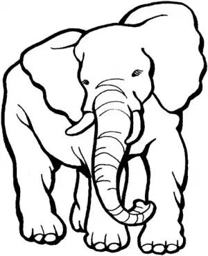 elefantes para colorear e imprimir