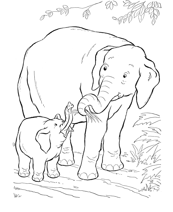 elefantes para pintar
