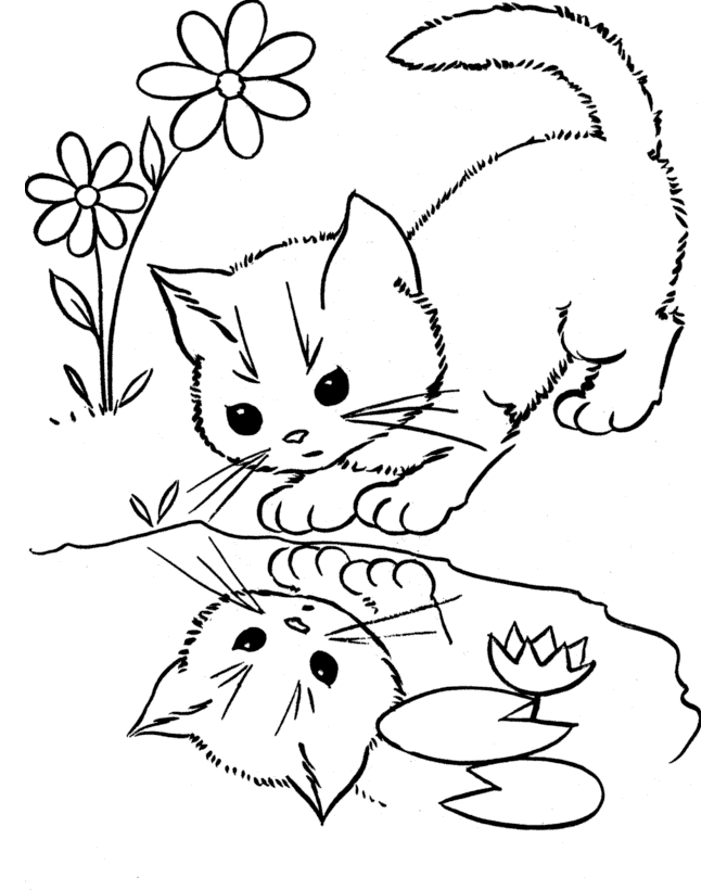 gatitos para dibujar