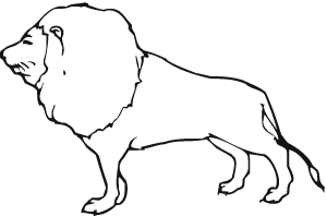 imagen de leon para colorear