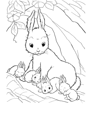 imagenes de conejo para colorear