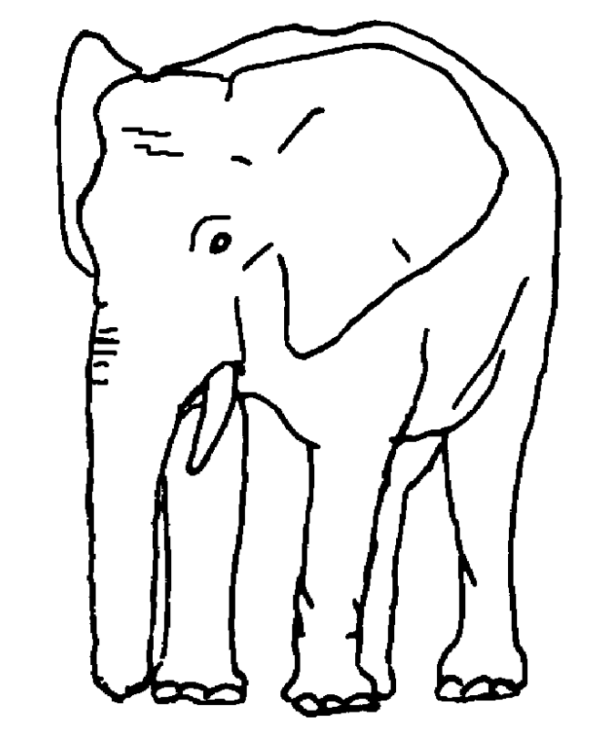 imagenes de elefantes para imprimir