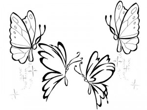 colorear mariposas