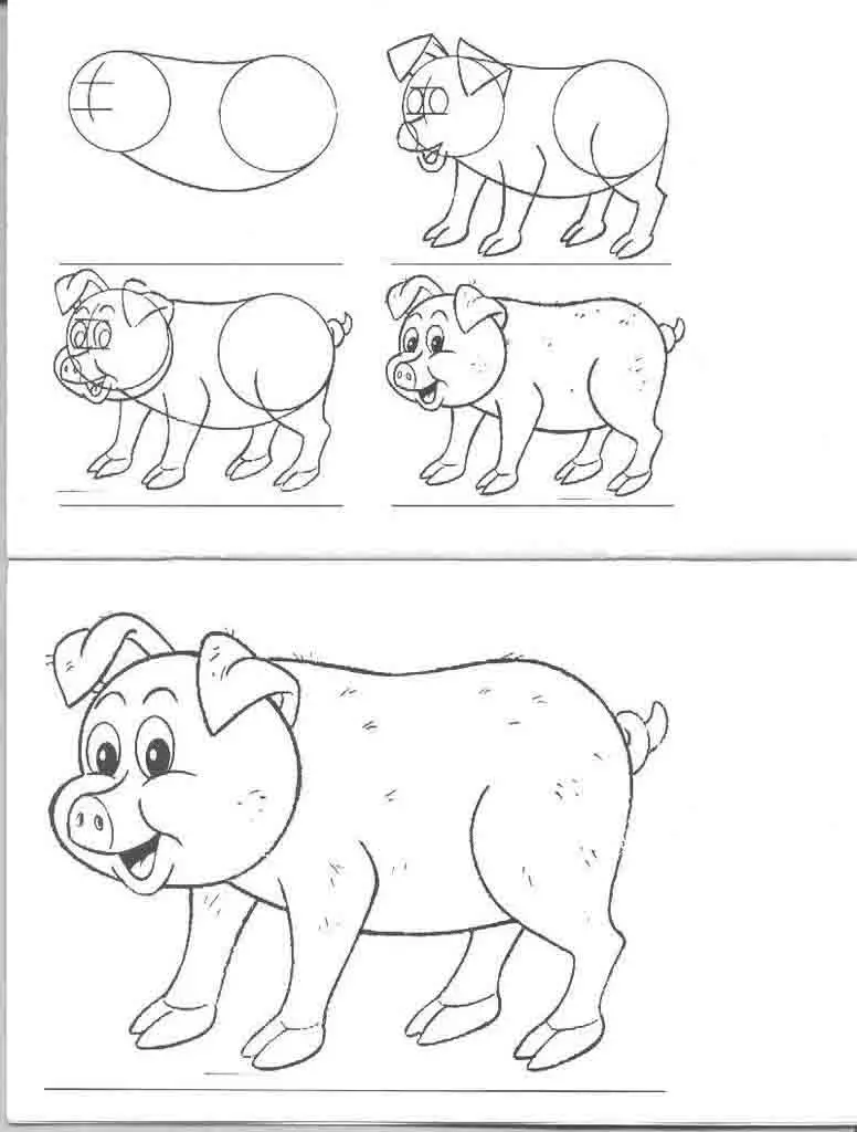 como dibujar cerdo