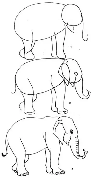 como dibujar elefante