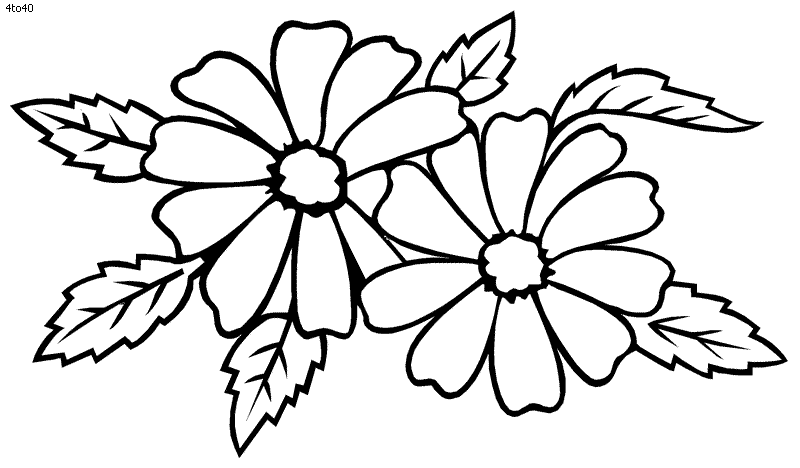 como dibujar flores