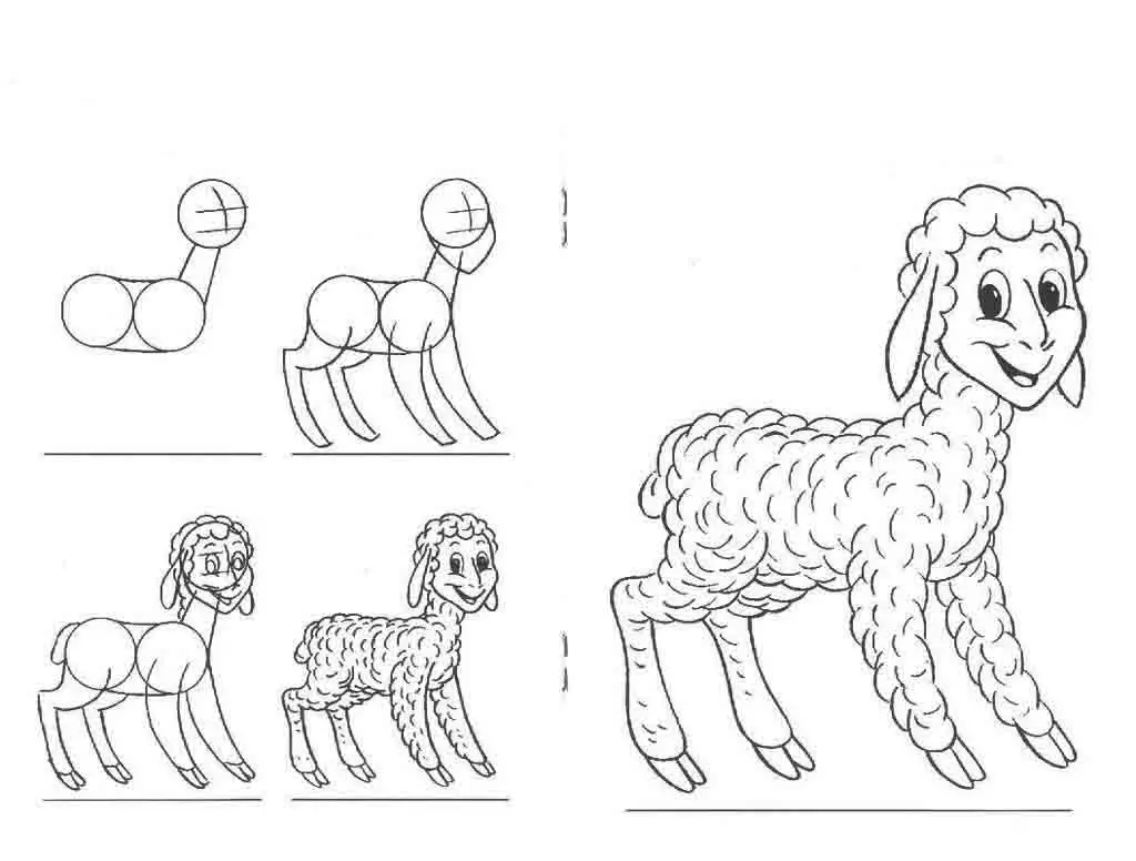 como dibujar oveja