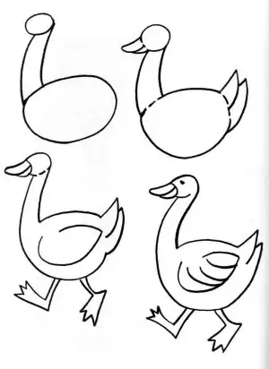 como dibujar pato