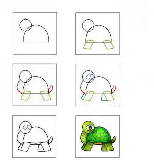 como dibujar tortuga