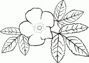 dibujo de flores para colorear