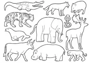 dibujos para colorear de animales salvajes