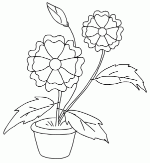 dibujos para colorear de flores