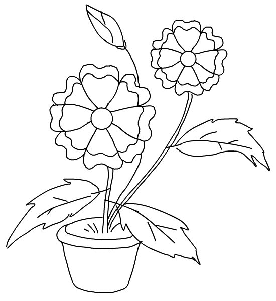 dibujos para colorear de flores