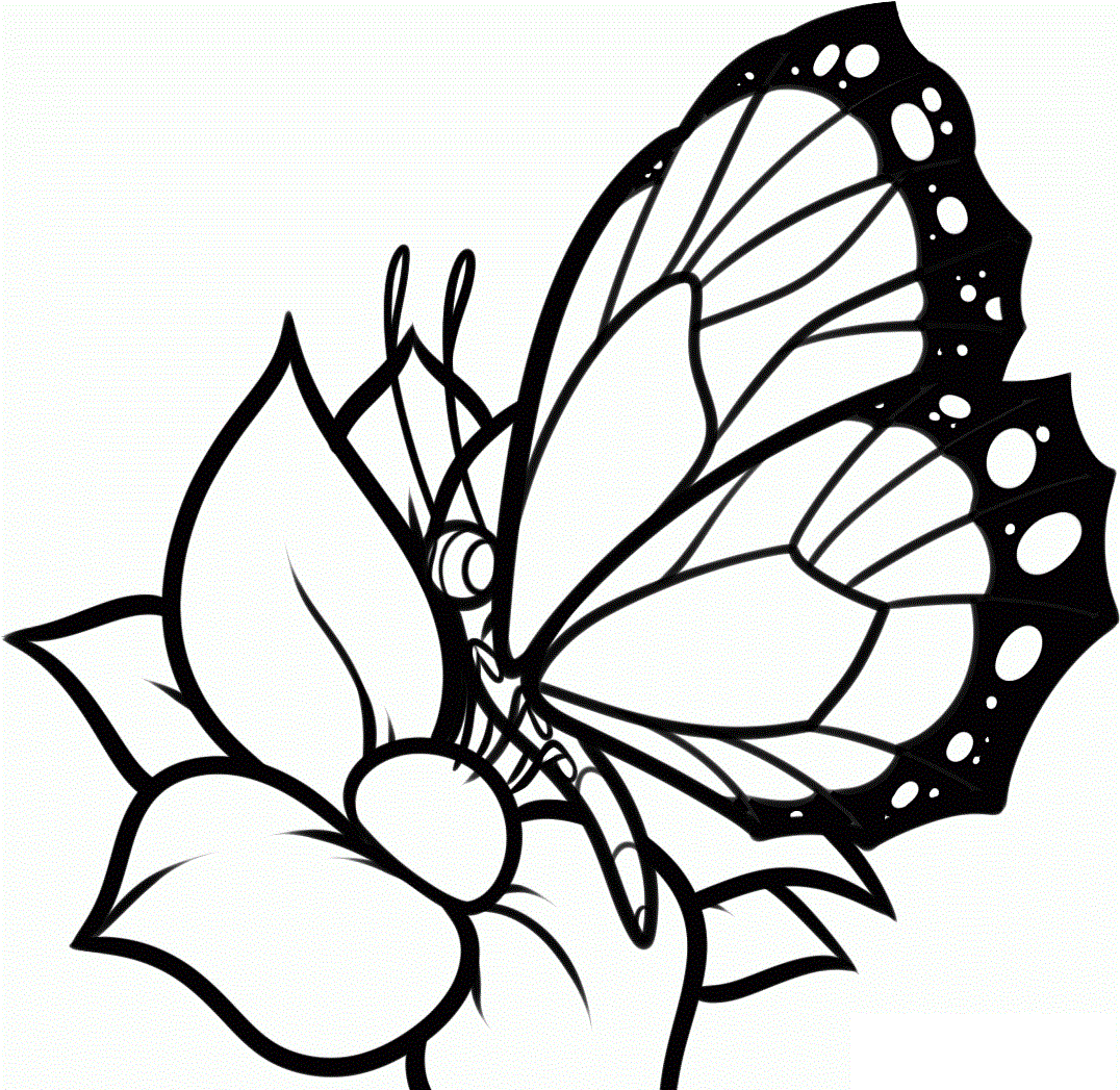 dibujos para colorear de mariposas gratis