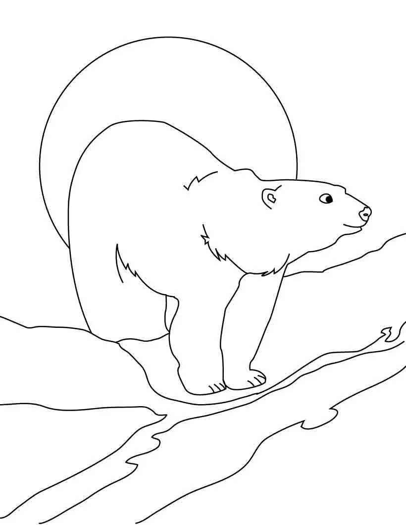 dibujos para colorear osos