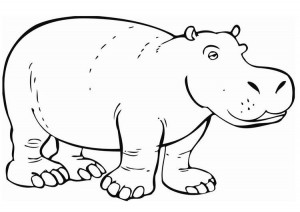 hipopotamo para colorear