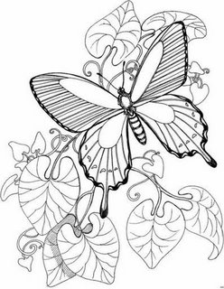 imagen de las mariposas para imprimir