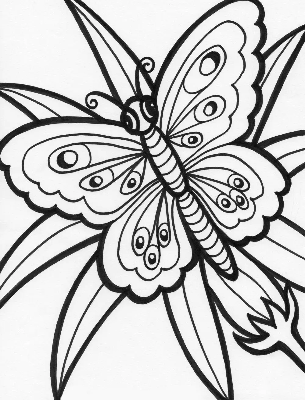 imagenes de mariposa para colorear