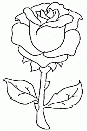 imagenes para colorear de flores