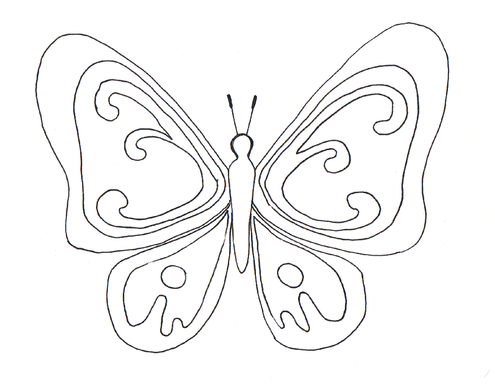 imagens de borboleta para pintar