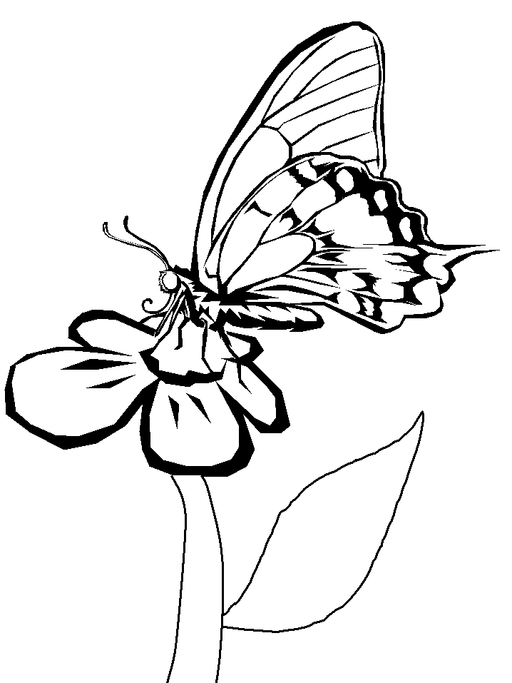 la mariposa para colorear