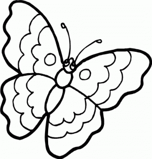 mariposa para dibujar