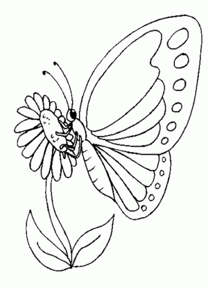 moldes de mariposas para imprimir