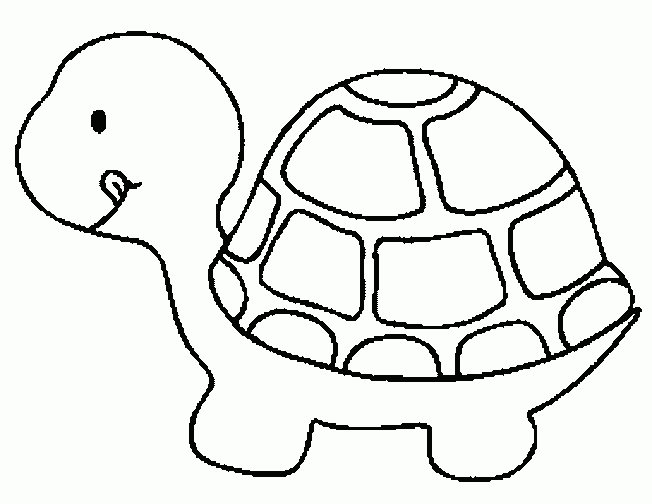 tortuga para colorear