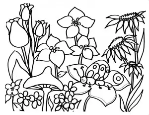 como dibujar un jardin