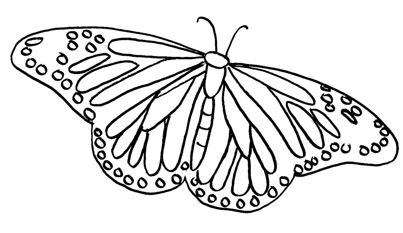 dibujar mariposas