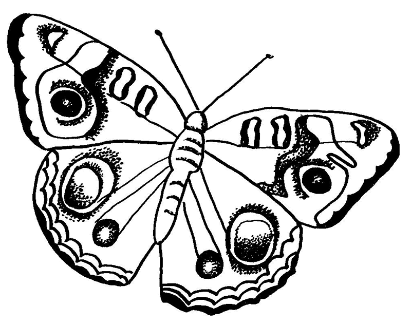dibujo de mariposas infantiles para pintar