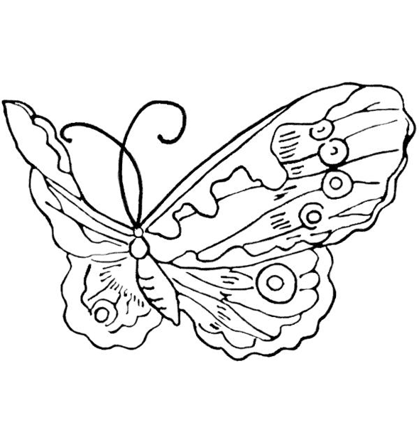 dibujo de una mariposa para colorear