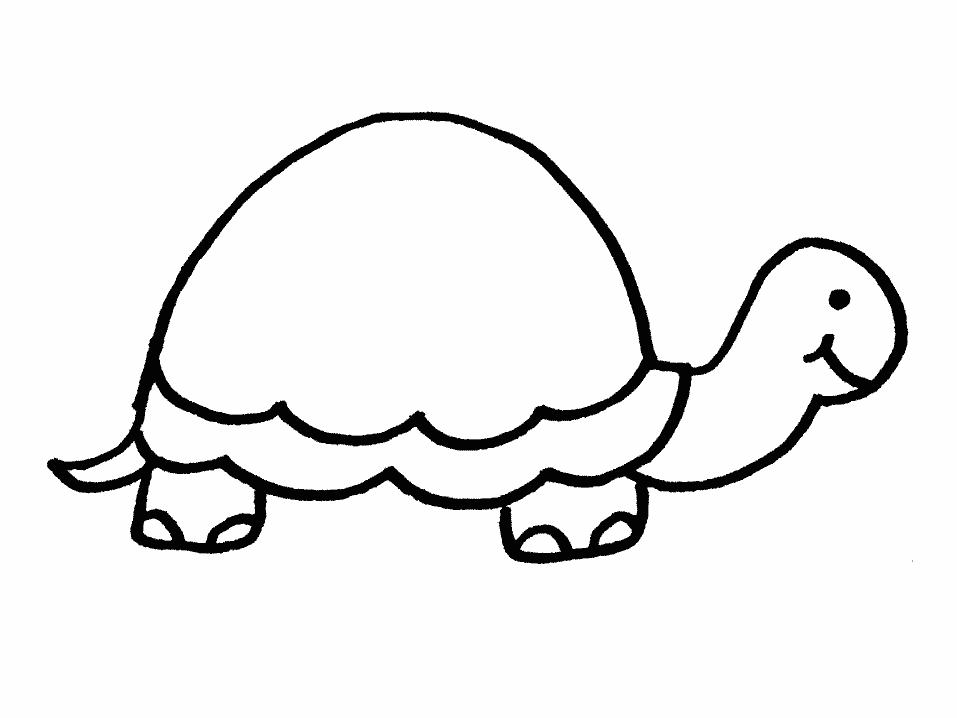 dibujo de una tortuga para colorear