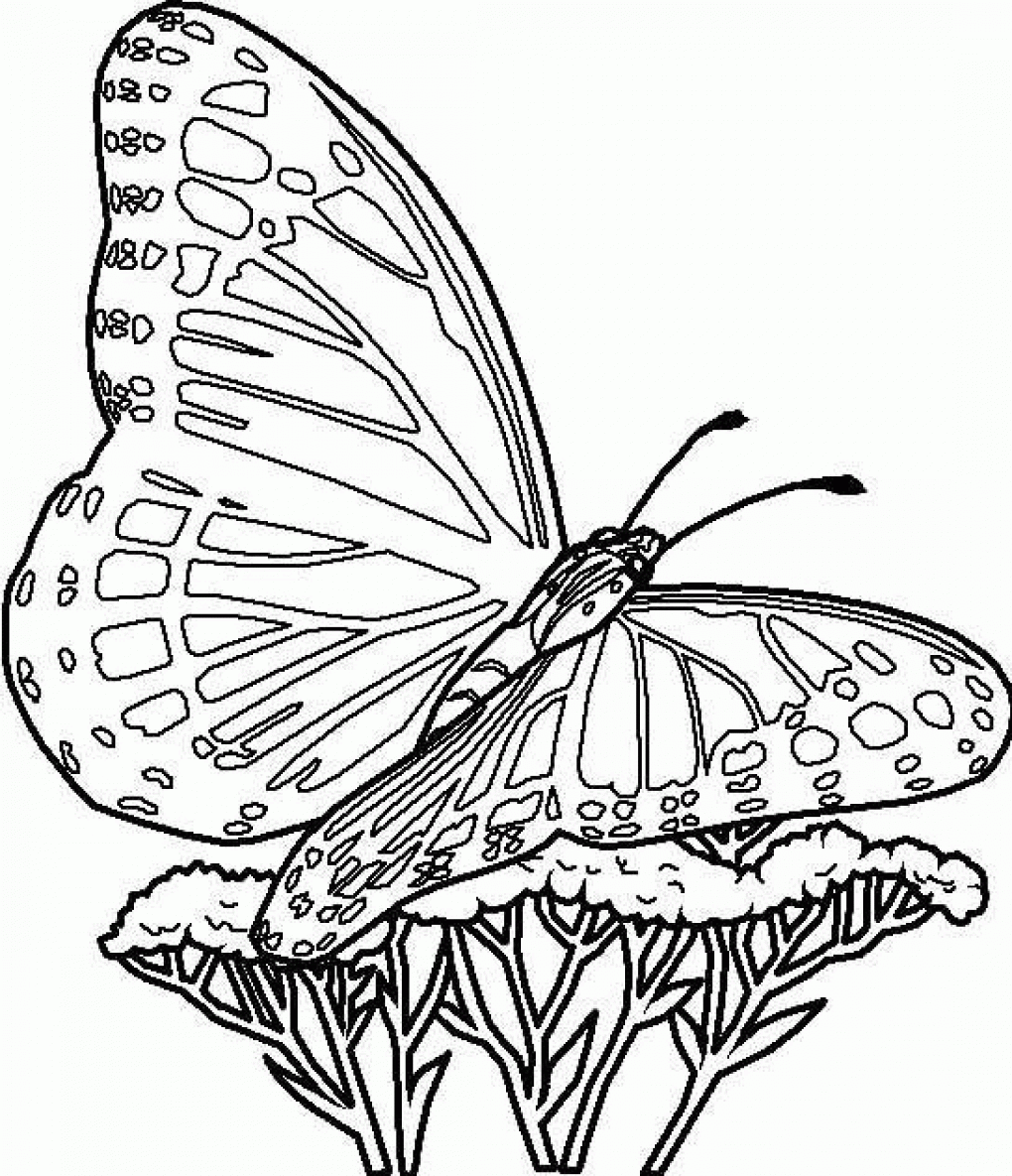 dibujo mariposas infantiles para colorear