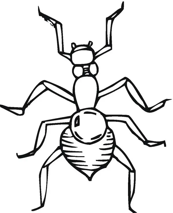 dibujos de hormigas para imprimir