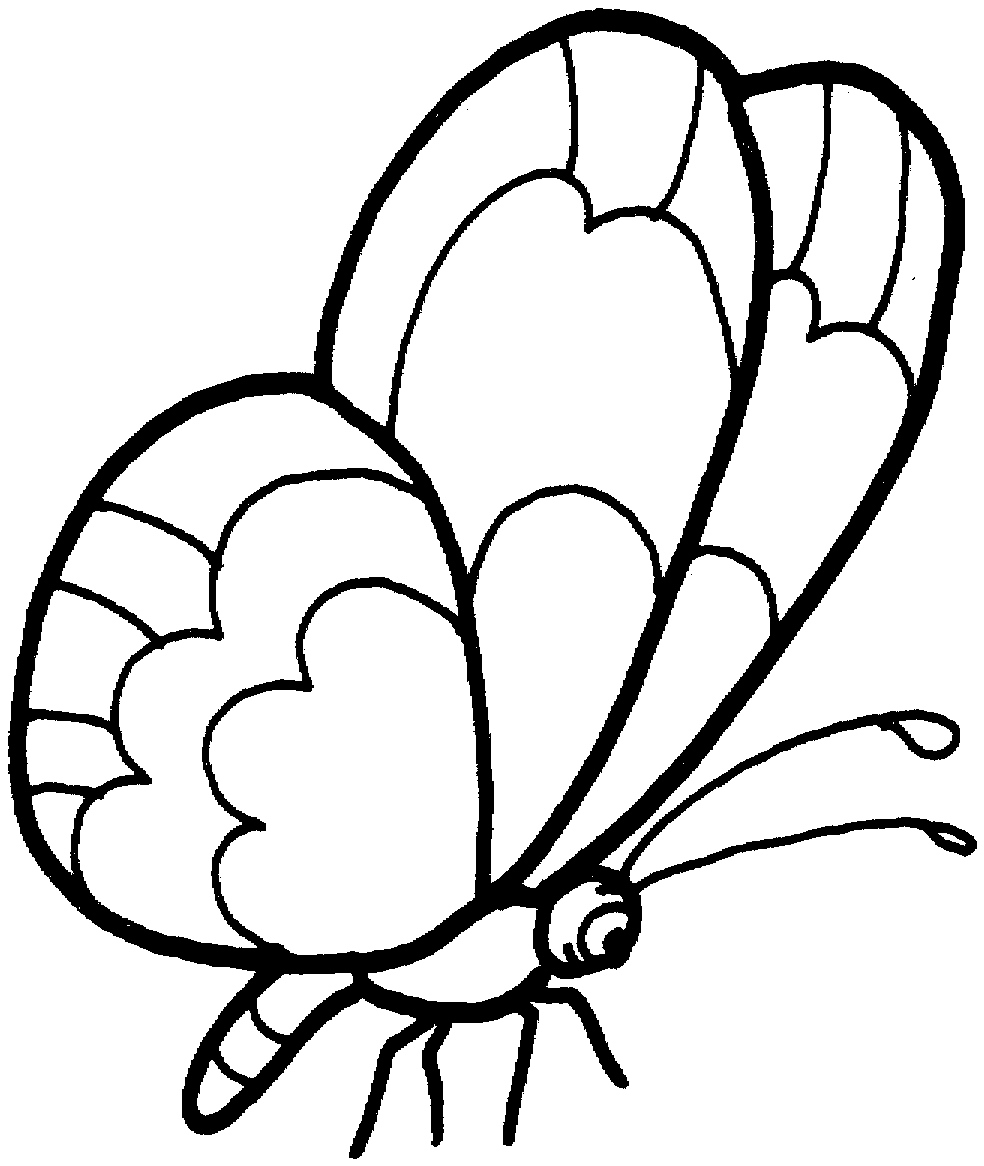 dibujos infantiles de mariposas para colorear